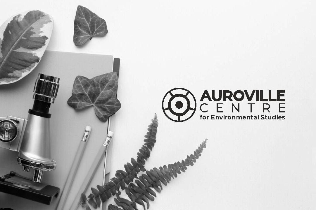 AC web images Auroville Centre for Environmental Studies